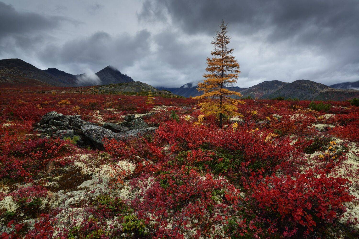 , Максим Евдокимов (phototourtravel.ru)