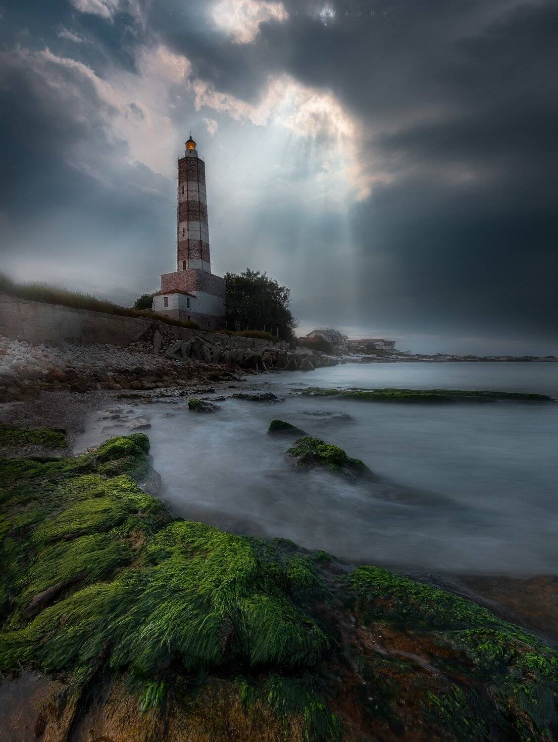 , Ivailo Bosev
