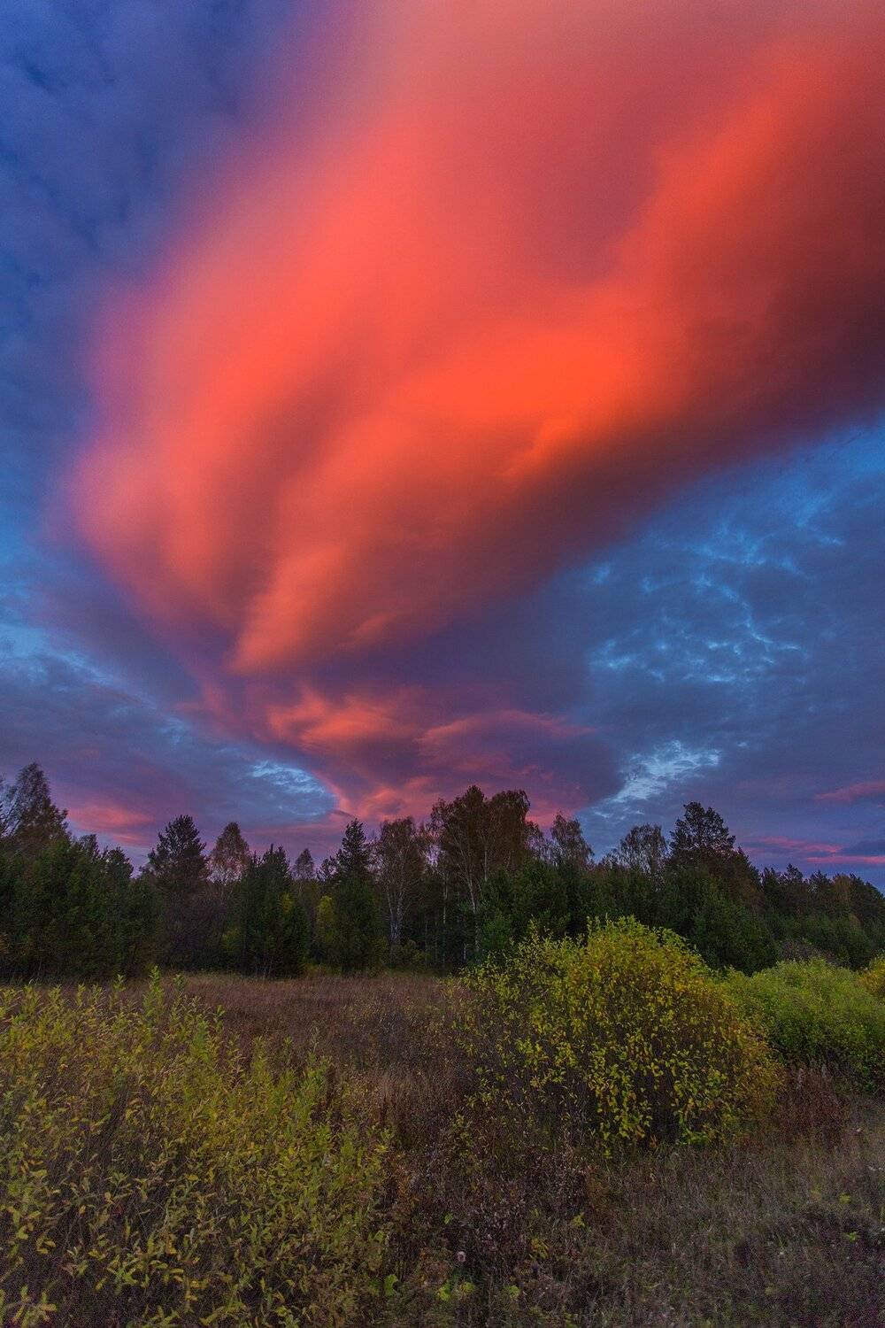 , Павел Сагайдак