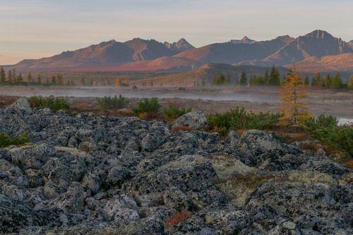 Первый туман.