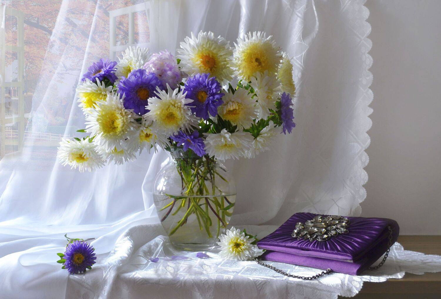 still life,натюрморт,осень, сентябрь, фото натюрморт, астры, цветы, солнечный день, бабье лето, настроение,, Колова Валентина