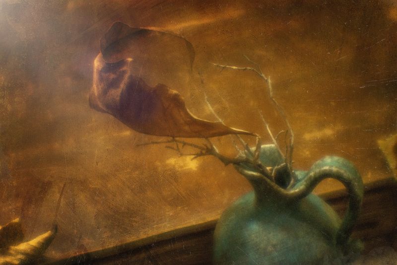 лист, осенний, желтый, сухой, кувшин, глиняный, стол, деревянный, осень, свет, золотой Свет осени фото превью