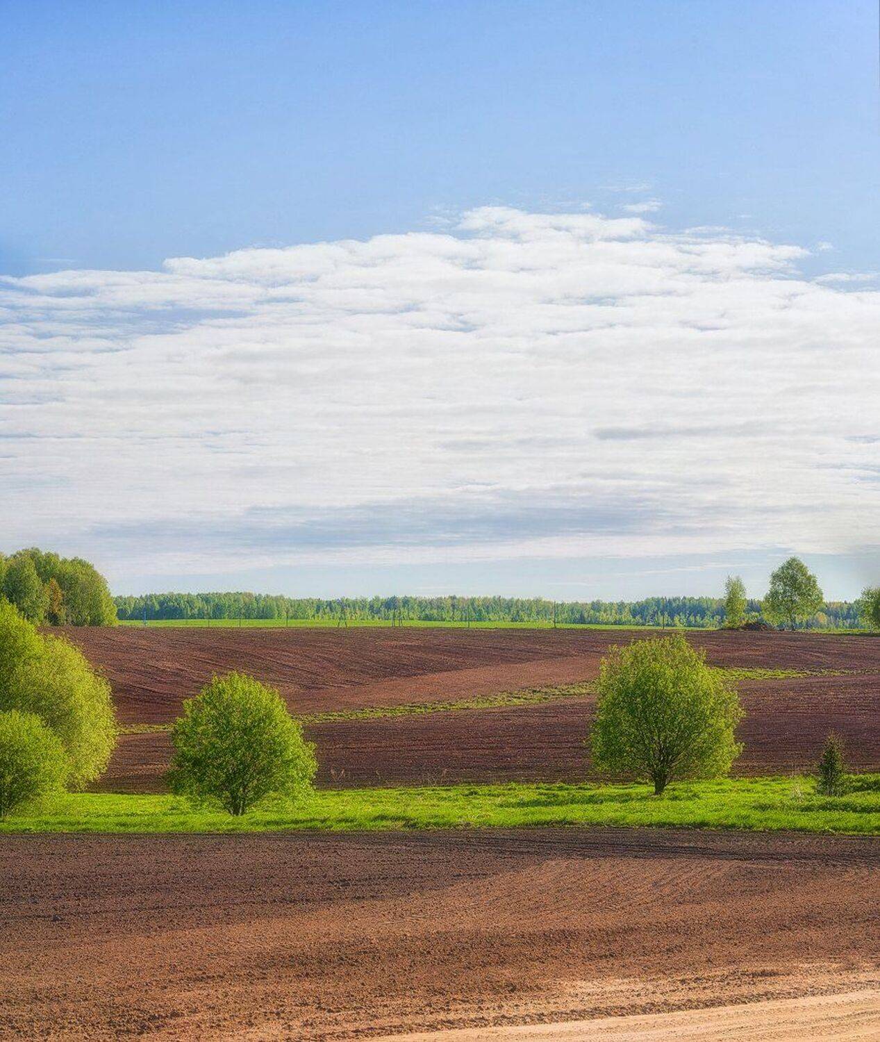 , Устюжанин Михаил