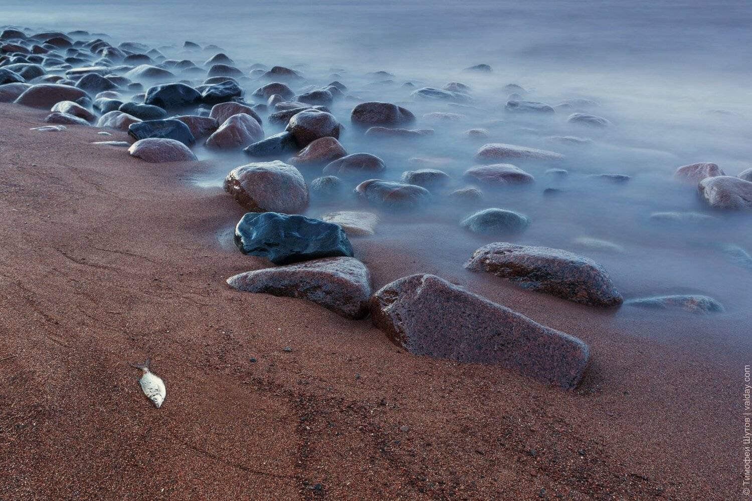ладога, Тимофей Шутов