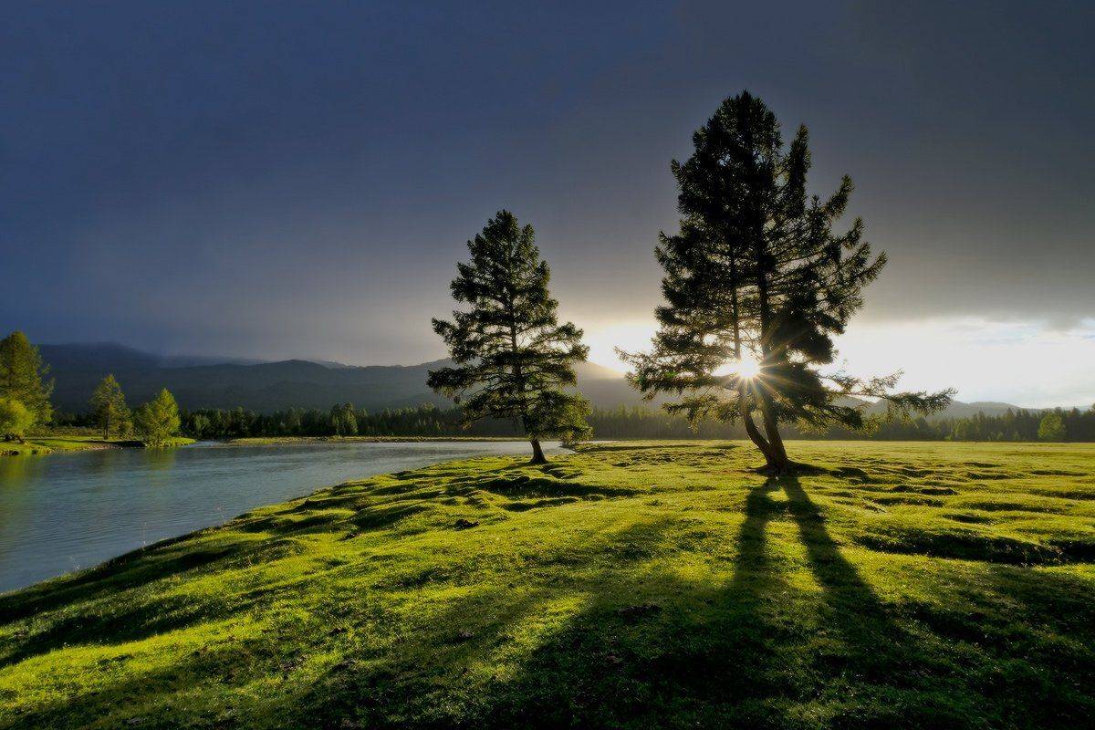 , Ольга Челдыкова