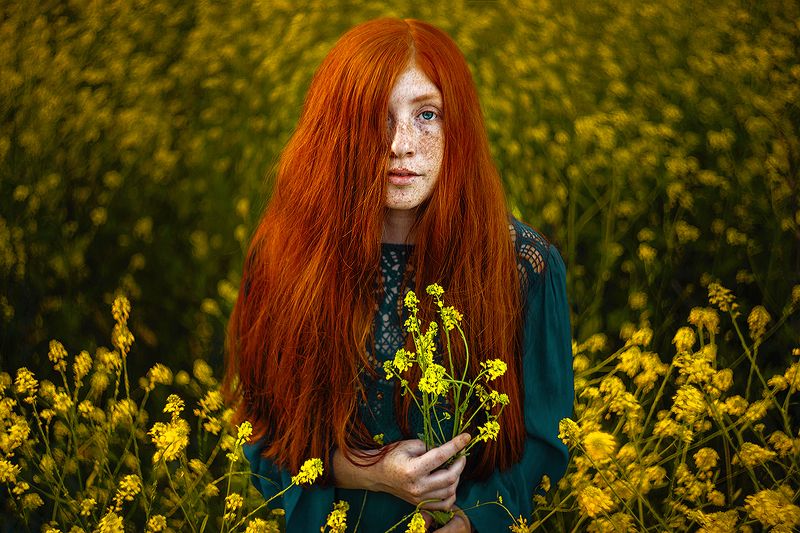 портрет, portrait, red hair, dress, платье, рыжие волосы, freckles, веснушки Алисон фото превью