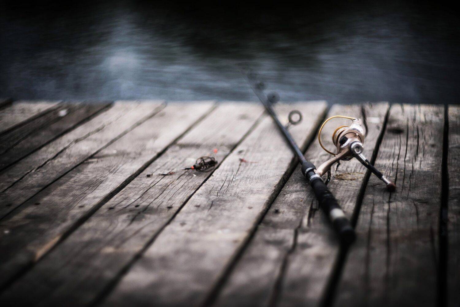 fishing удочка рыбалка водоем пруд боке, Егор Бугримов