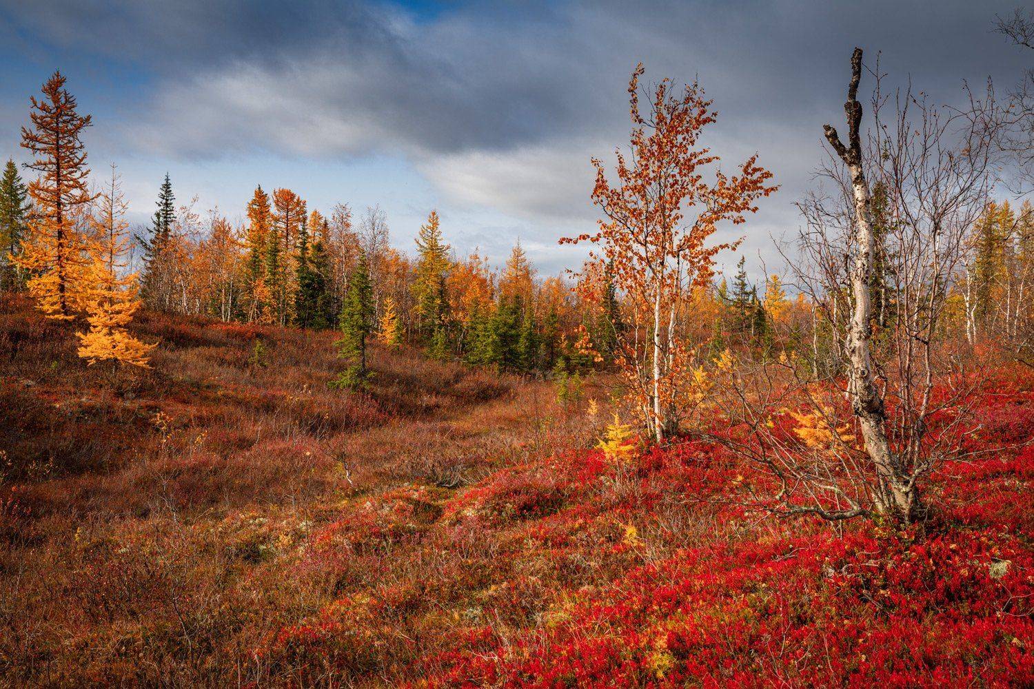 , Евгений Кужилев