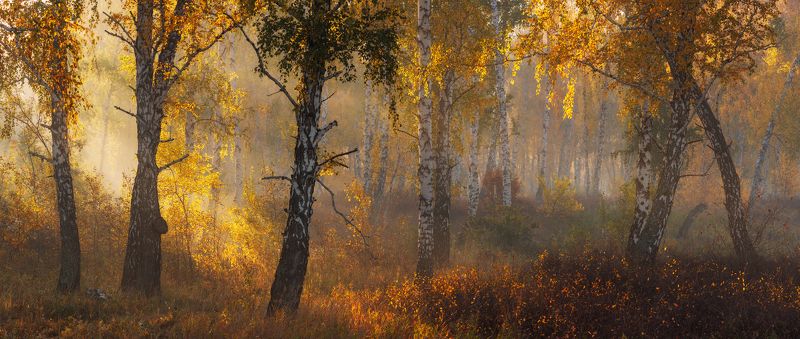 Аромат сентября фото превью