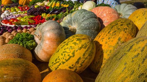 Урожай земли Ставропольской