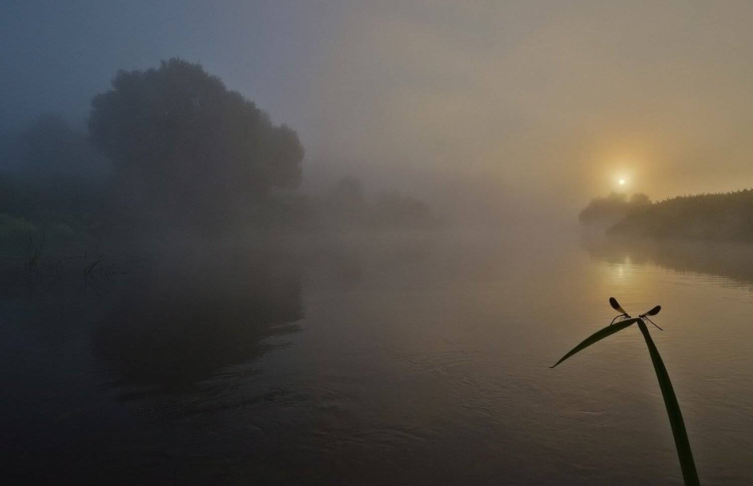 утро, рассвет, река, упа, якшино, пейзаж, природа, Михаил Агеев
