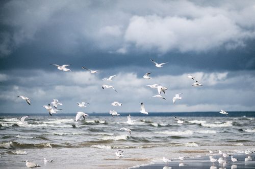 Осень на Финском заливе