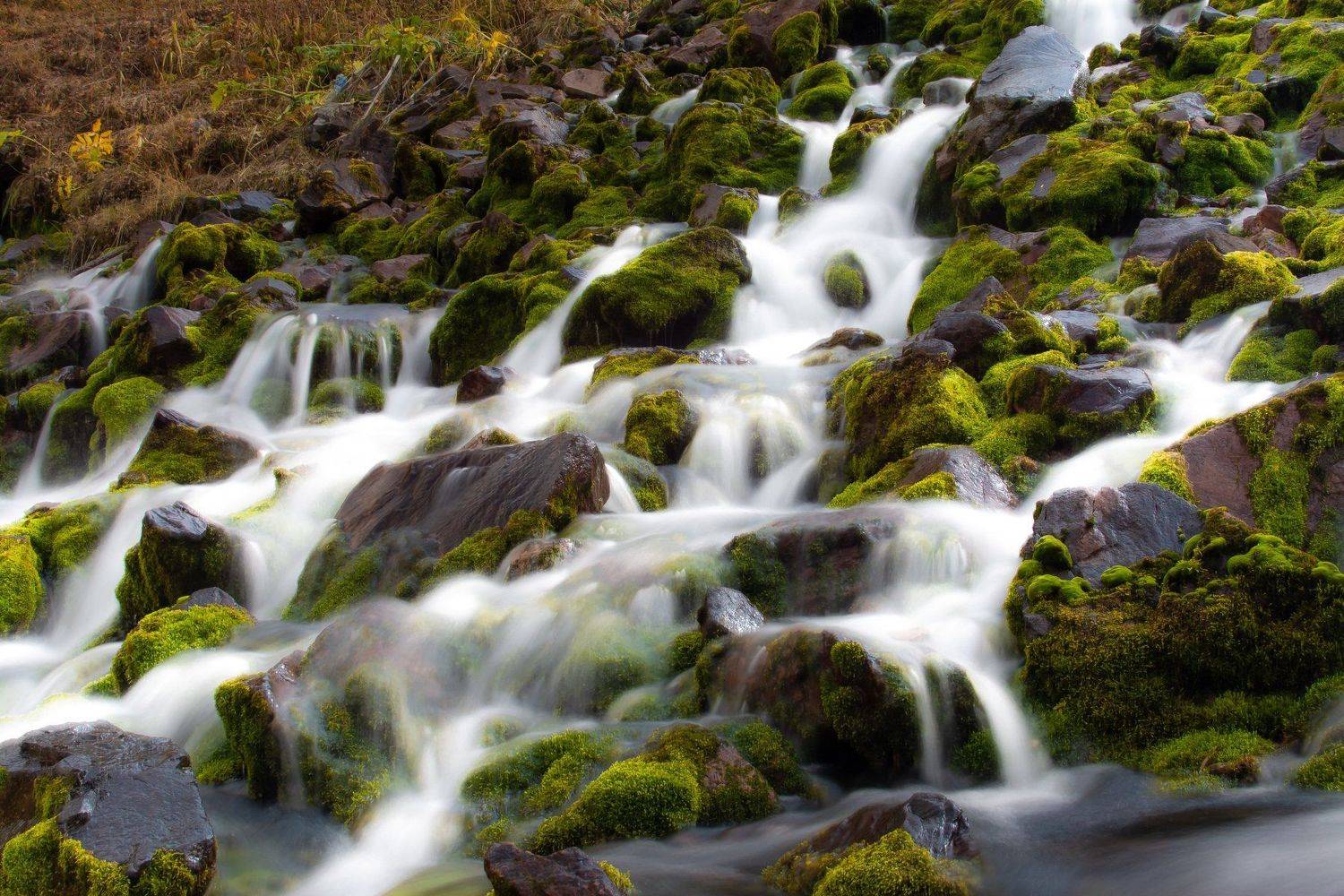 горы, природа, пейзаж, вода, река, мох, Василий Шумкин