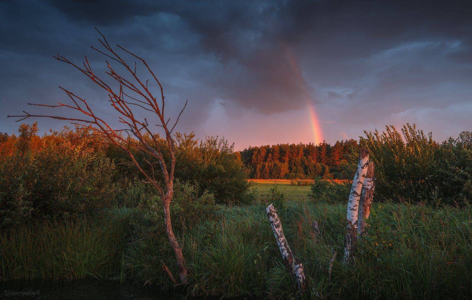 радуга, болото, вечер, лето, тучи, гроза, закат, Михаил Дубровинский