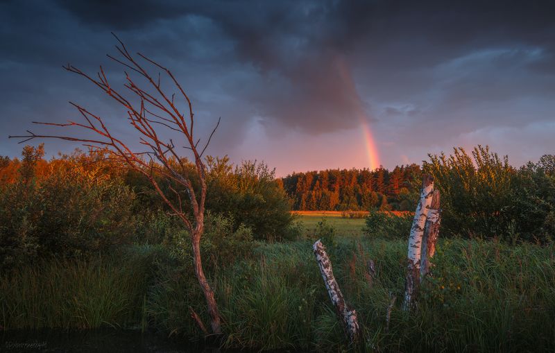 Сказка летнего вечера фото превью