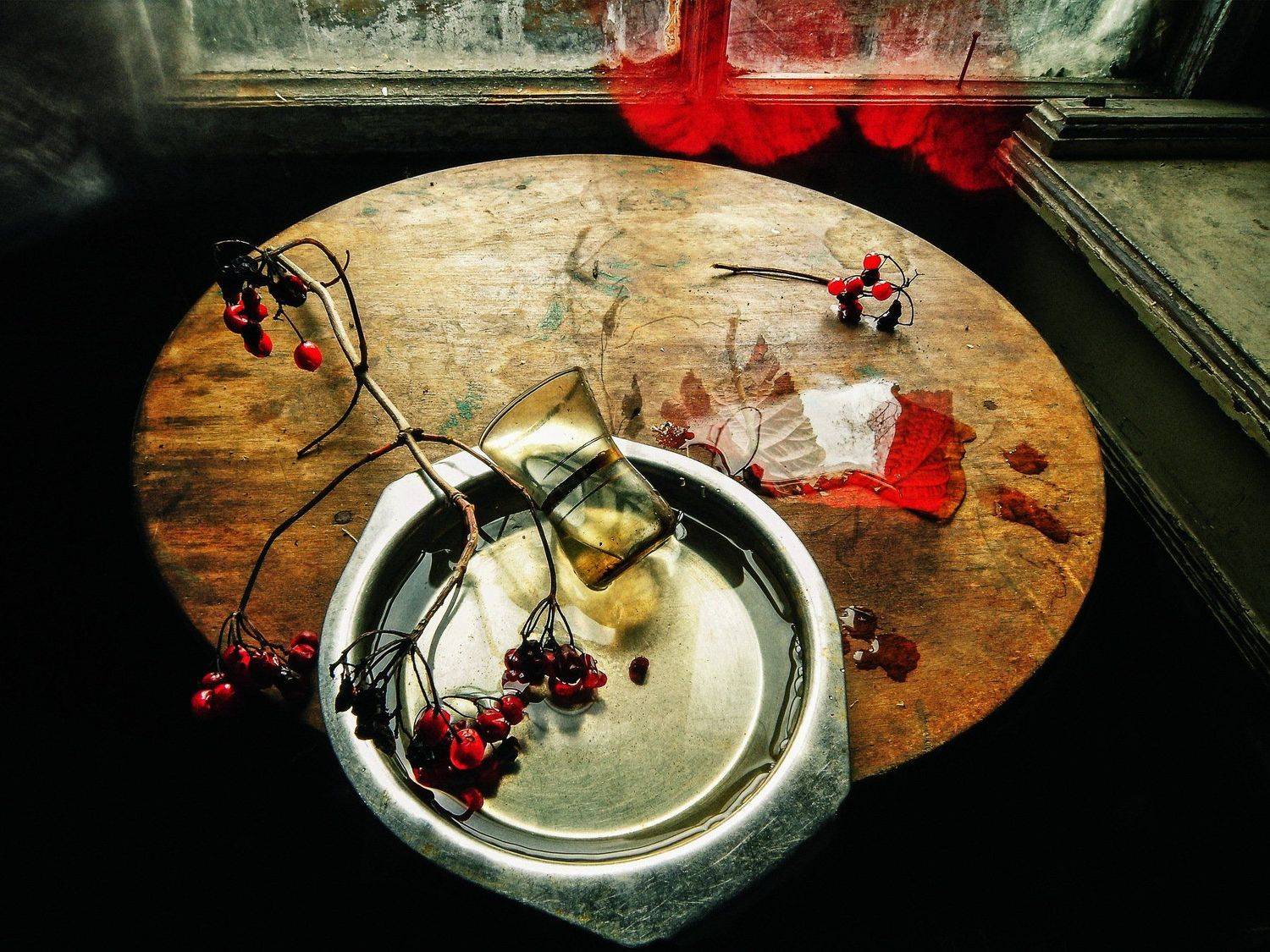 , Харитонова Елена