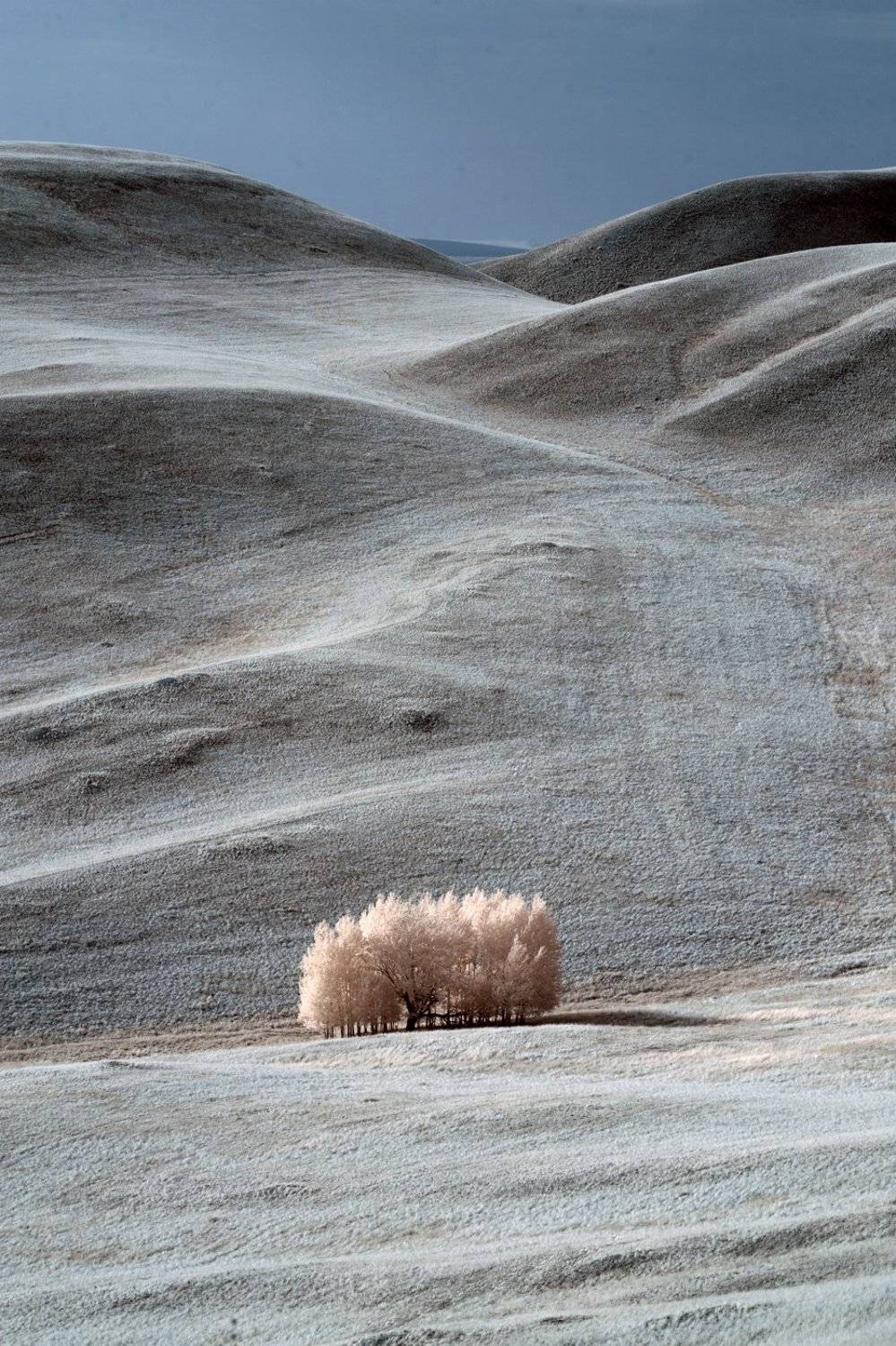 инфракрасный, пейзаж, фильтр, Олег_Грачёв, Oleg_Grachev, infrared, landscape, Олег Грачёв