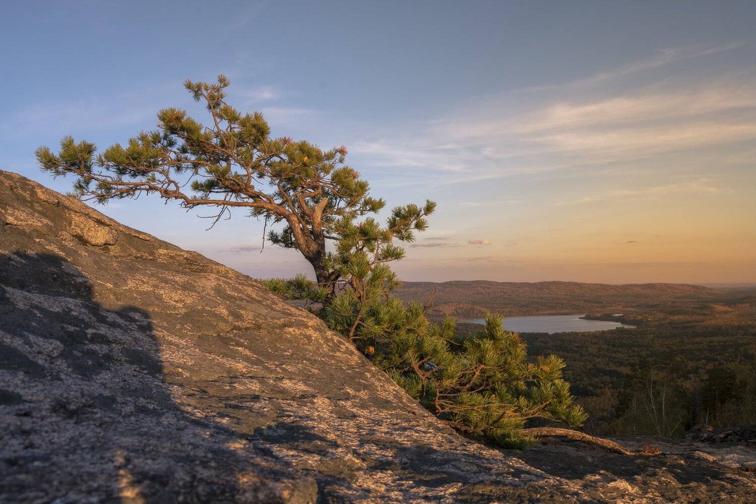 , Андрей Шарапов