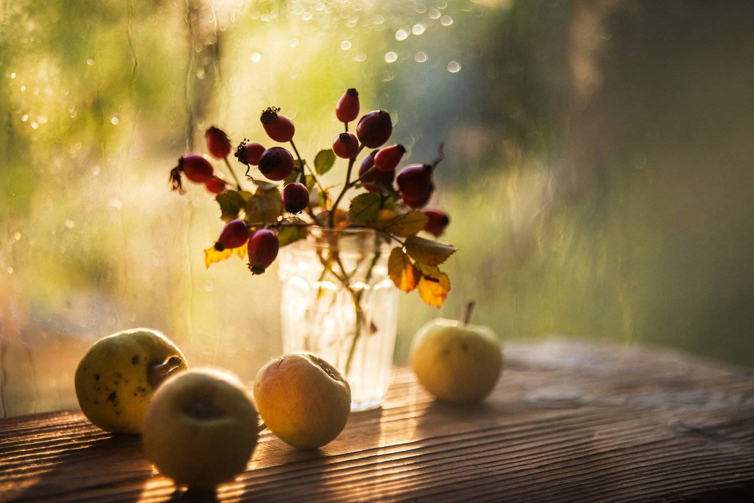 , Елена Вапняр