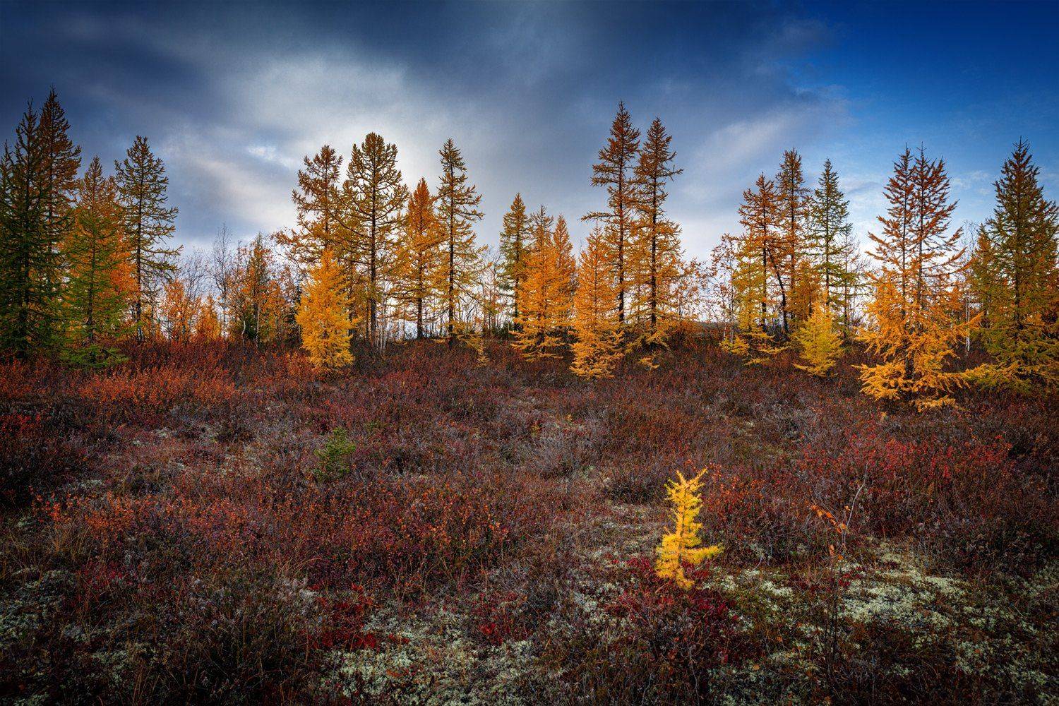 , Евгений Кужилев