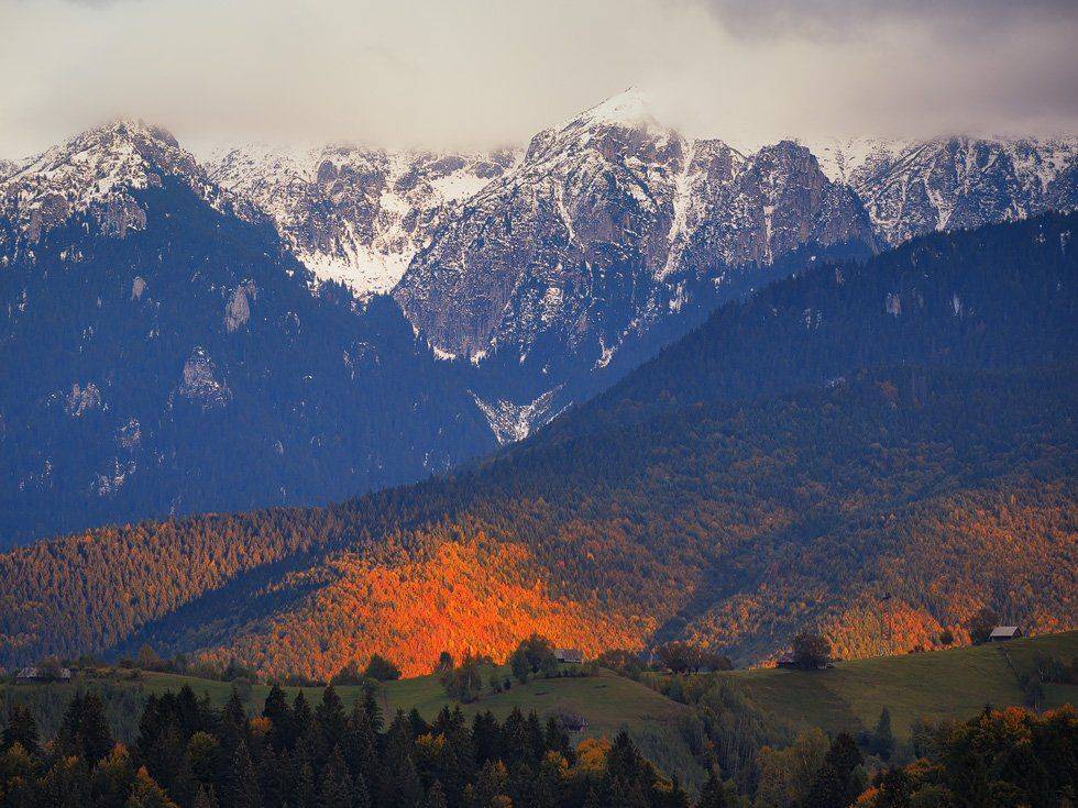 , Stefan Chirobocea