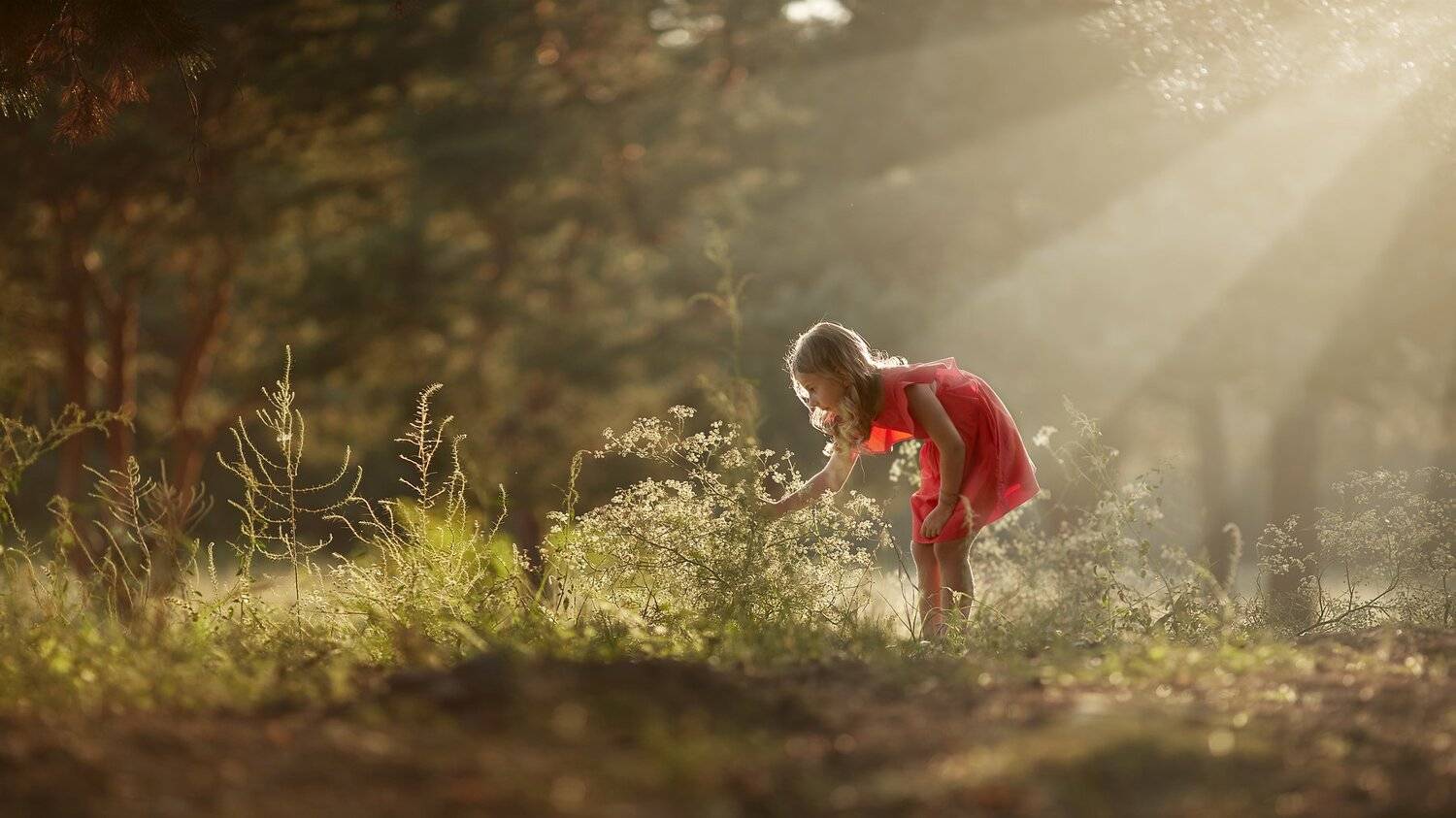свет, ребенок, детский портрет, пейзаж, зеленый, ретушь, дети в кадре, Щепин Сергей