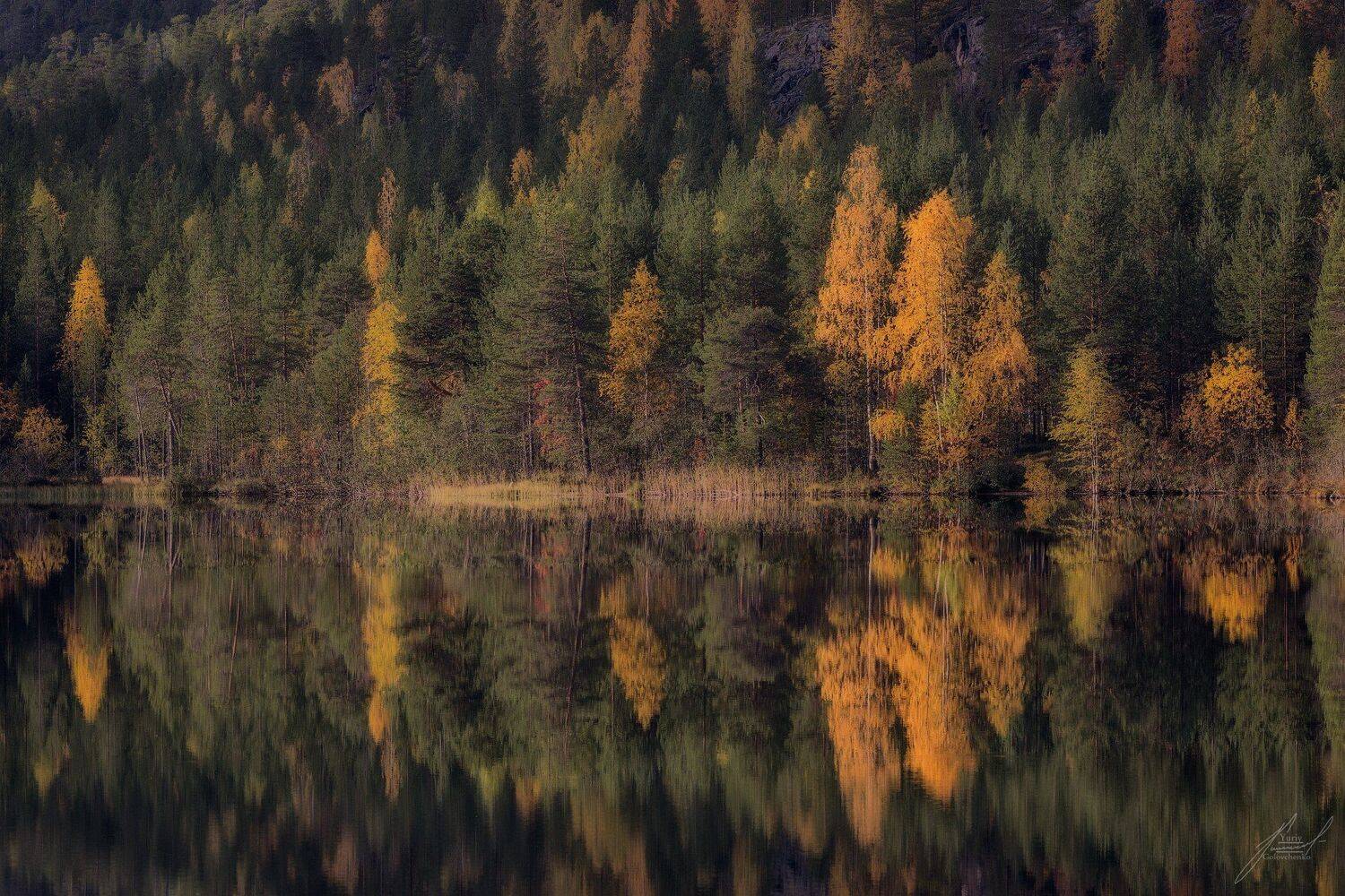 , Юрий Головченко