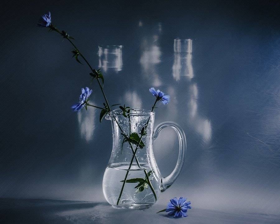 , Анжелика Королева