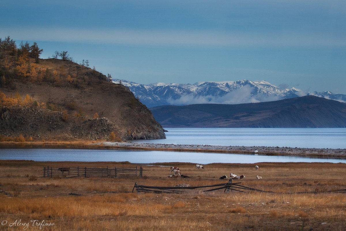 Байкал, Алексей Трофимов