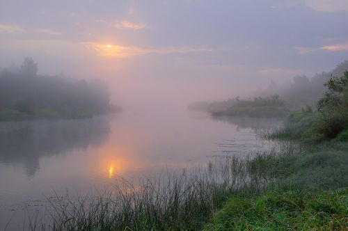 в тумане