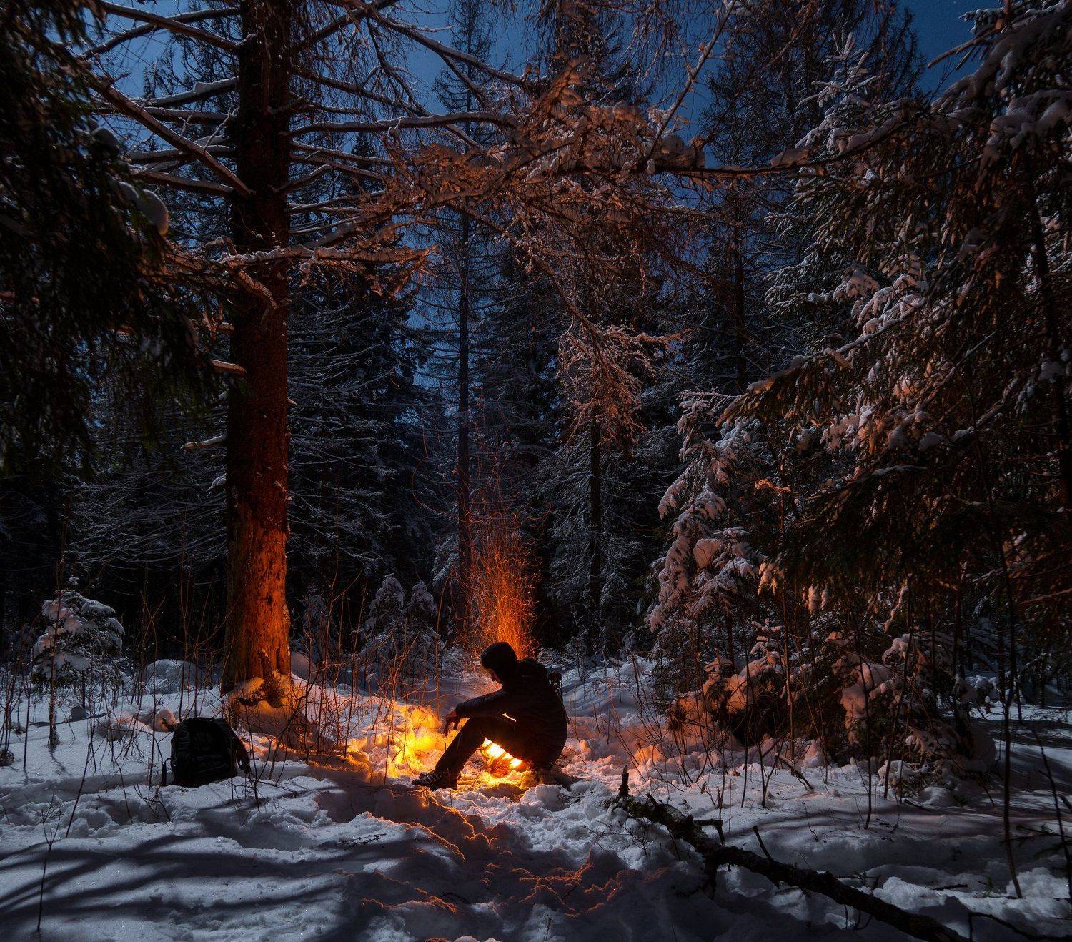 ночь лес зима костер россия луна , Евгений Озеров