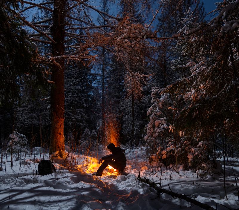 ночь лес зима костер россия луна  В ожидании 12 месяцев фото превью