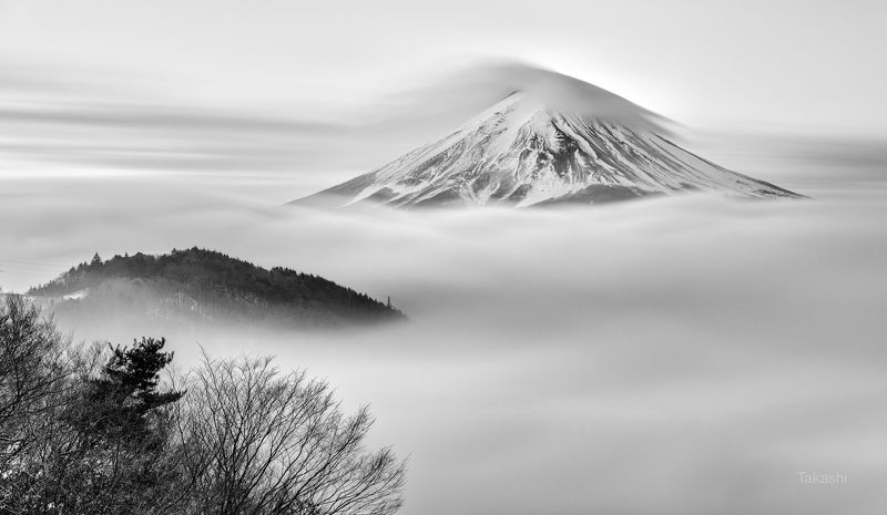 Fuji,mountain,Japan,cloud,snow,tree,black,white On the cloud фото превью