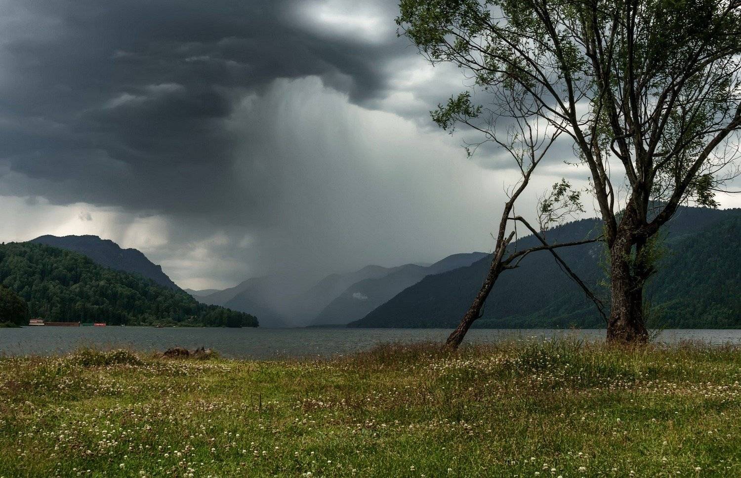 алтай. телецкое озеро., Марина Фомина