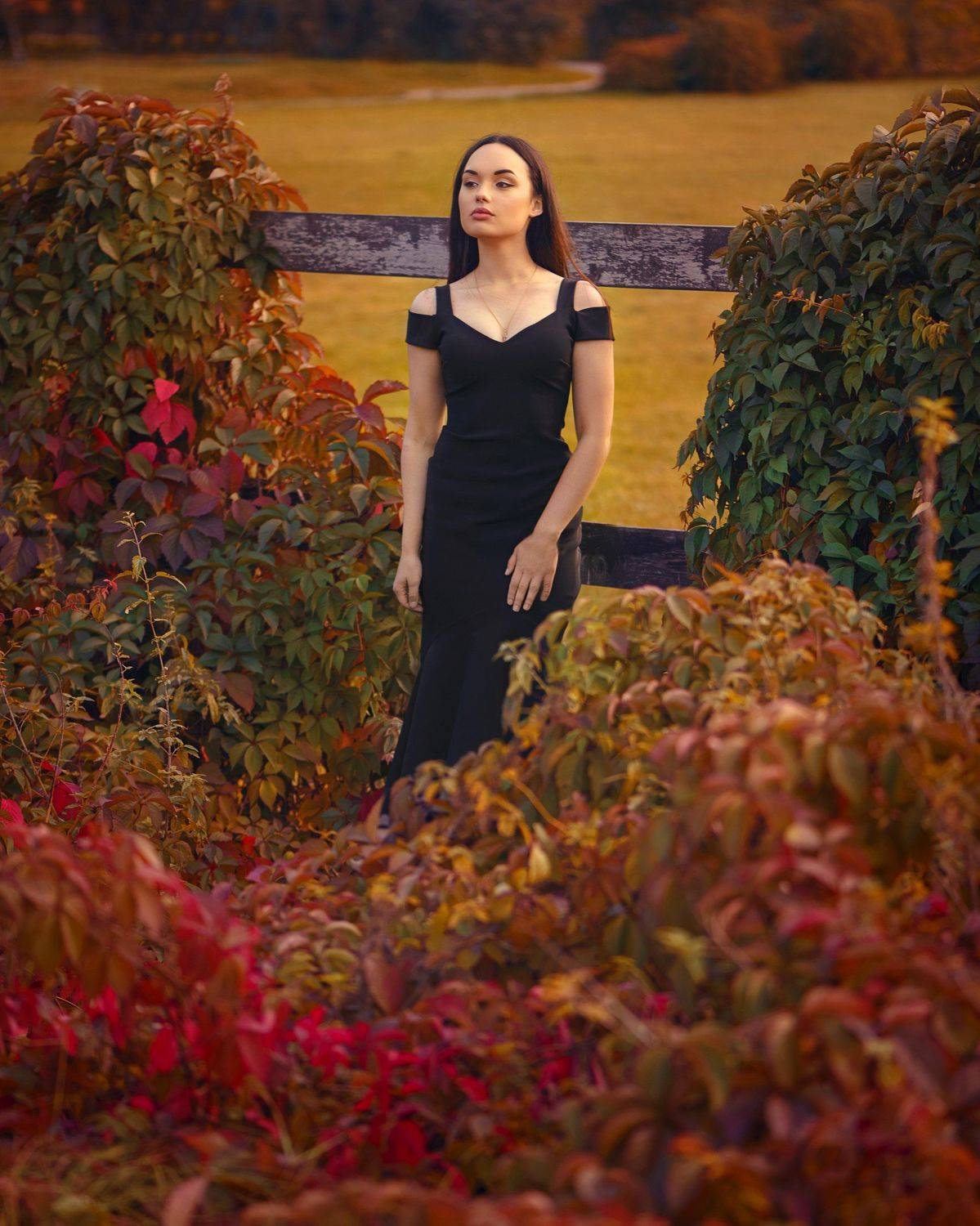 , Анастасия Добровольская