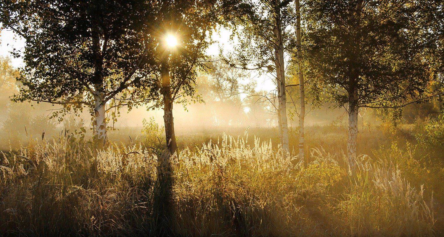 о.татышев., Марина Фомина