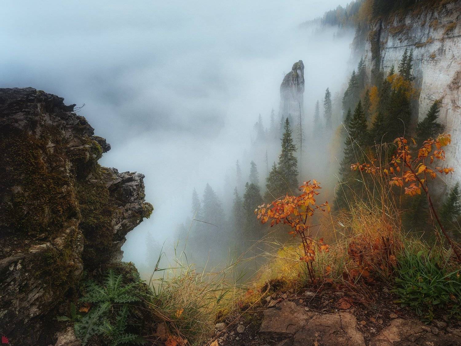 , Осипов Ёжъ Александр