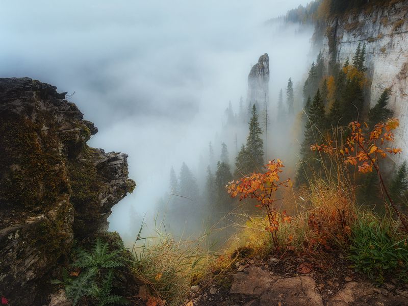 В тумане