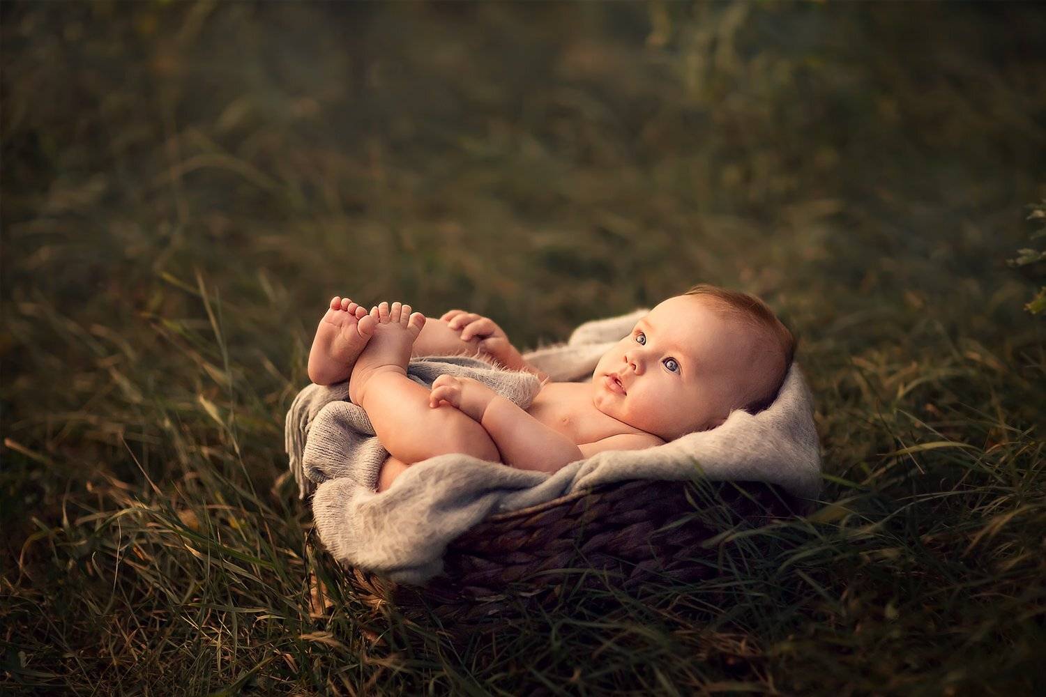 малыш, дети, ребенок, Екатерина Белоножкина