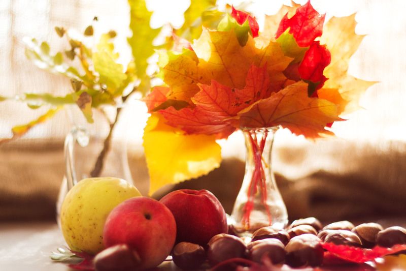 осенние листья фото превью