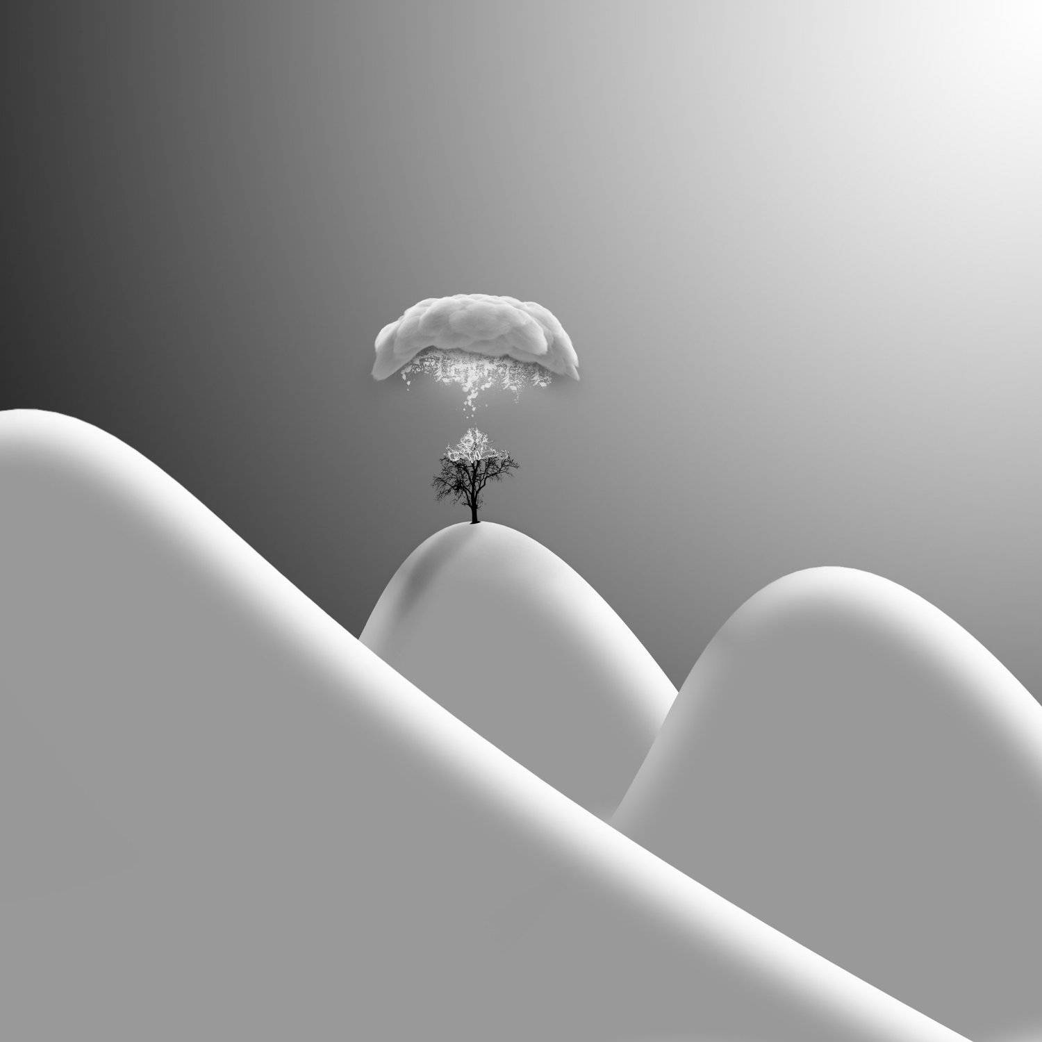 #35photo #surrealart#photoshop#ps_fantasy#art_minimal #bnw_dream #photography#minimalism#conceptual#fineart #instagram#ps_dreams#bnwminimalismmag#art_digital #ir_photographer#ir_aks#minimal#canon#blackandwhite#bnw#surreal#hadimalijani#art#fantastic_earth#, Hadi Malijani
