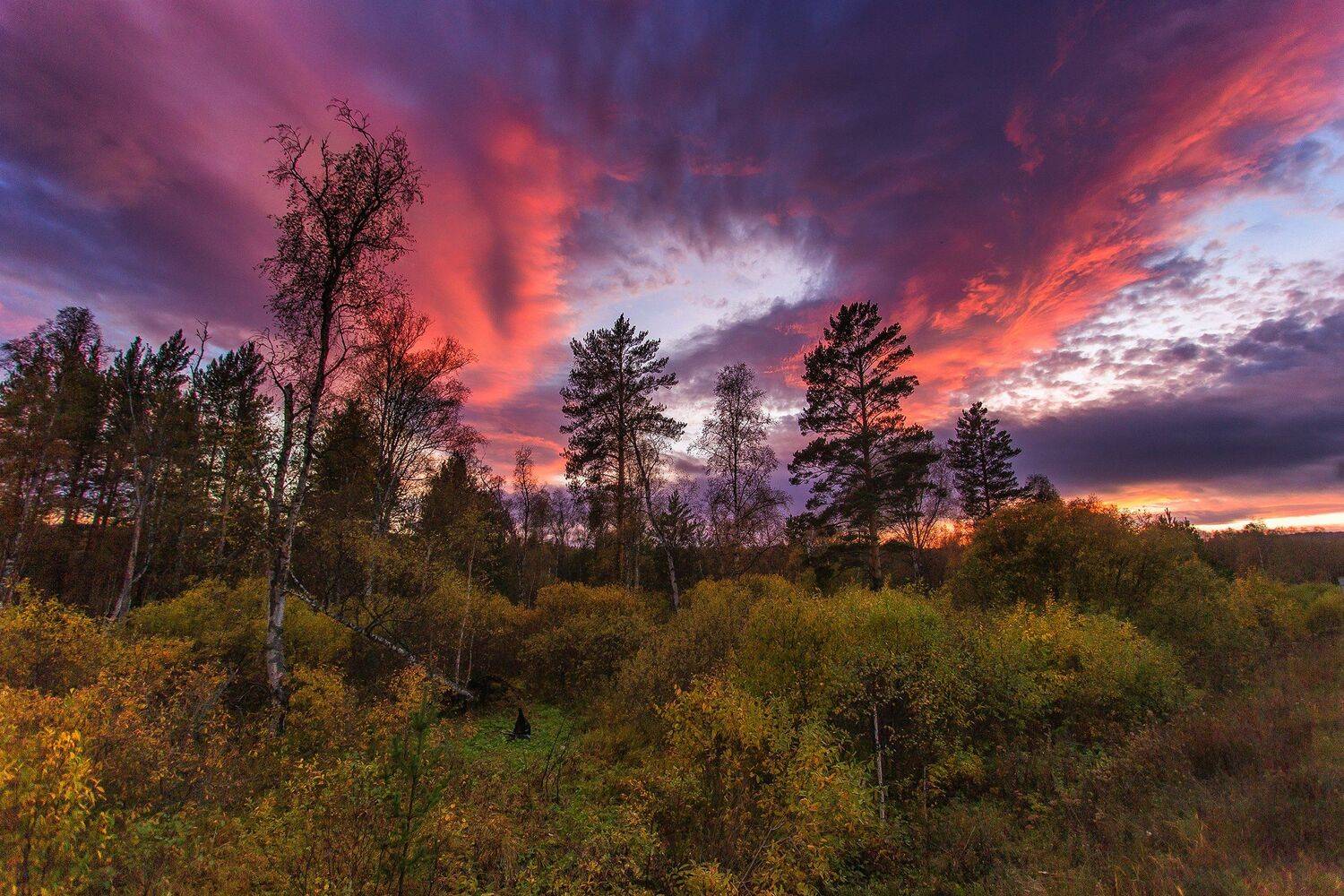 , Павел Сагайдак