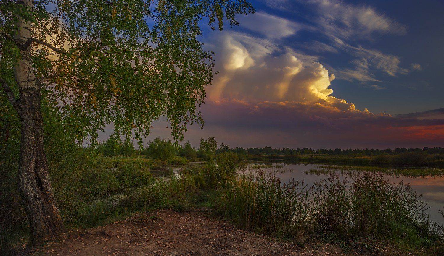 пейзаж,озеро,вечер, Елена Рубинская