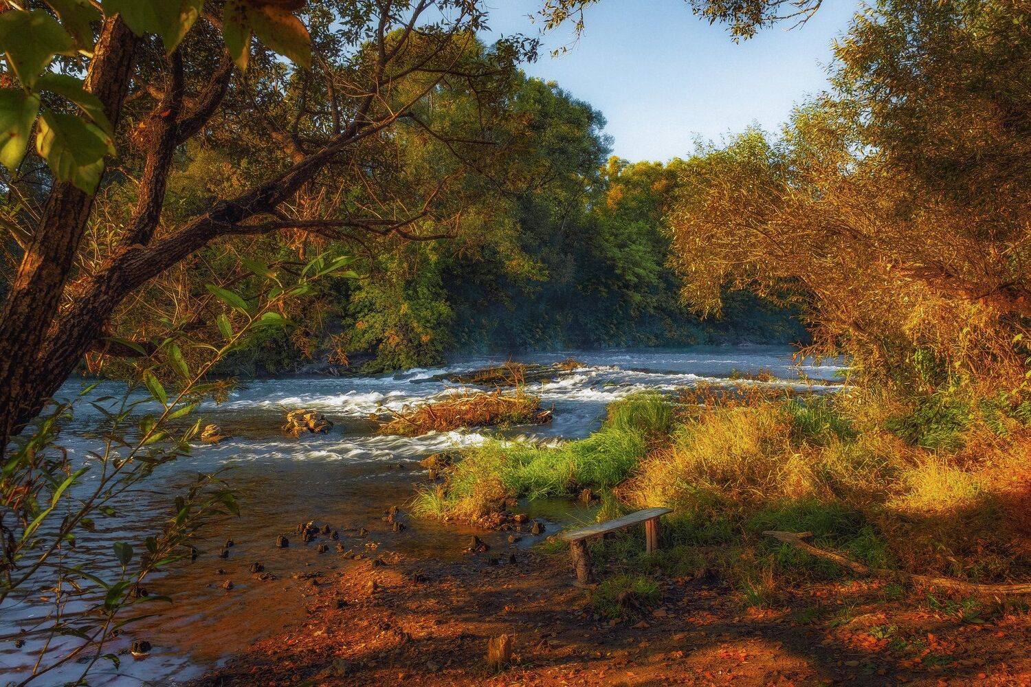 утро, рассвет, туман, природа, лес, Екатерина