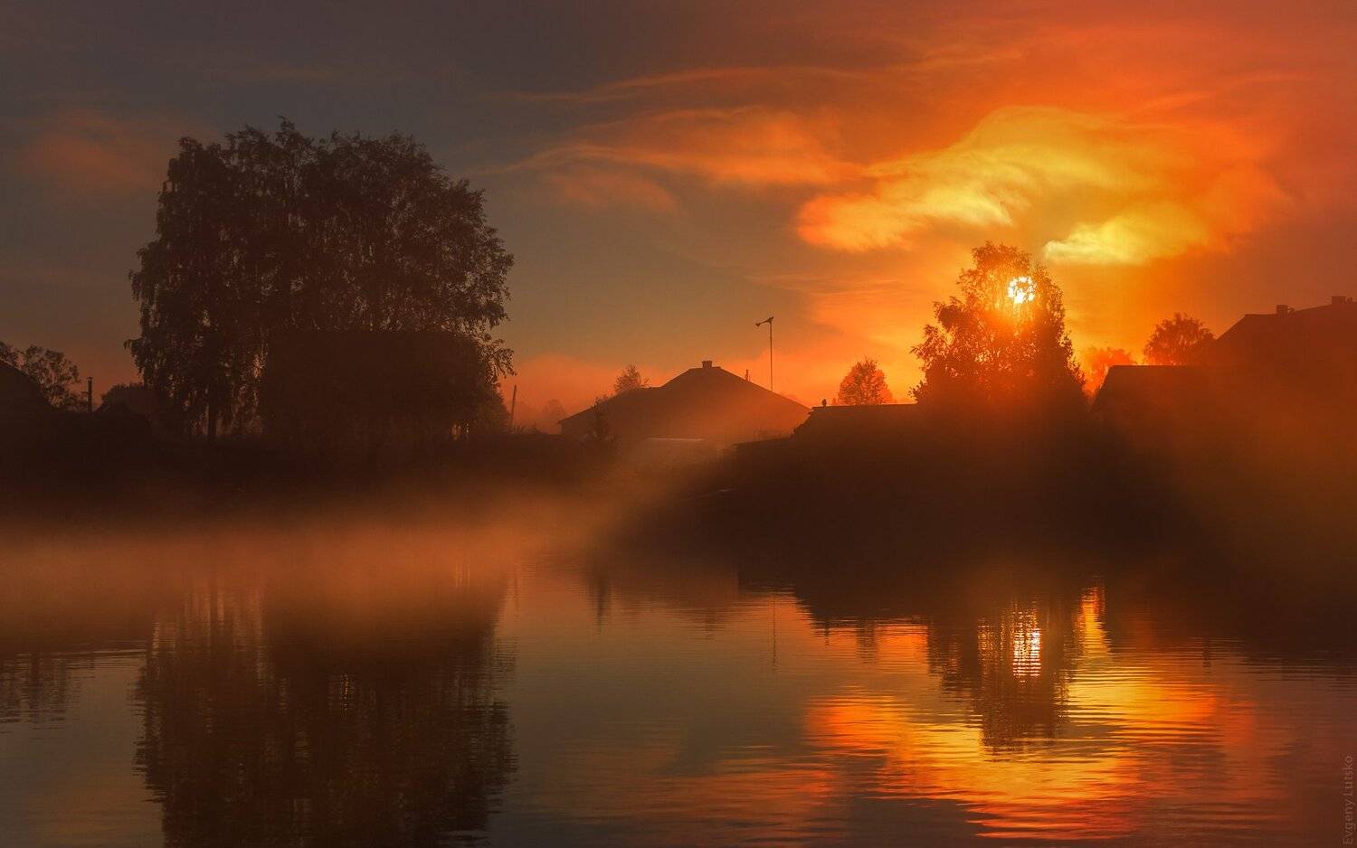 , Евгений Луцко