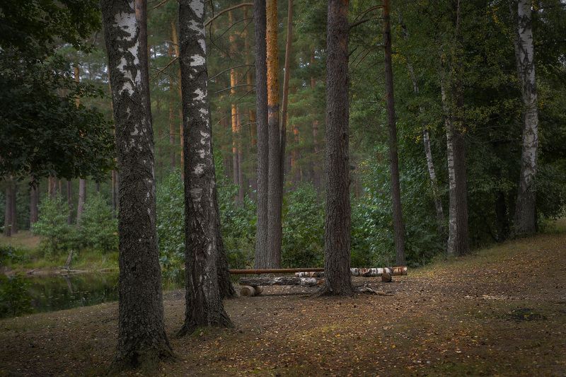 саврасово осень вечер Мелодии не слышен звук... фото превью