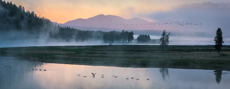 Wild Calm фото превью