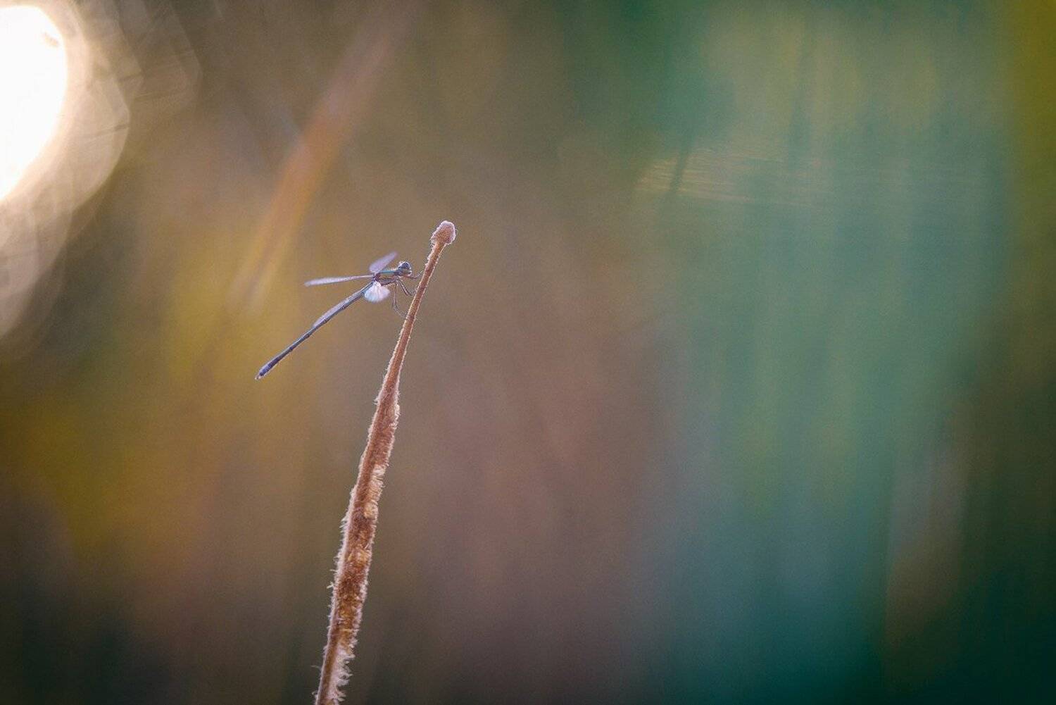 , Кузнецов Дмитрий