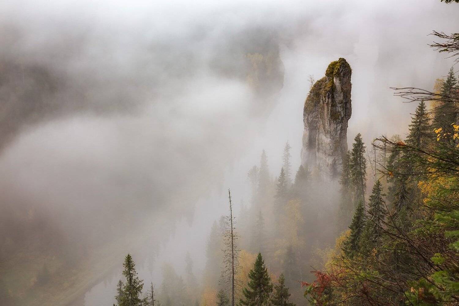 , Станислав Аристов