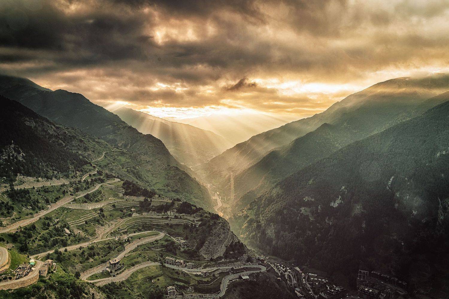 , Piotr Ryba Rybicki